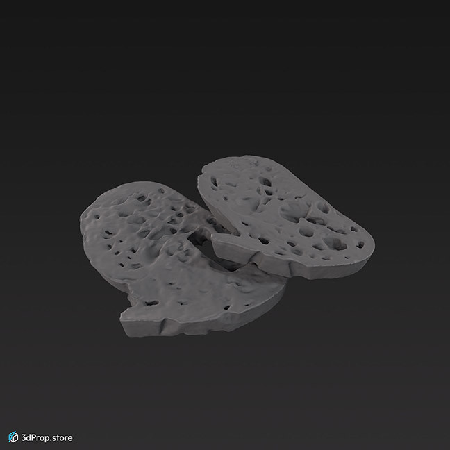 3D scan of two bread slices.