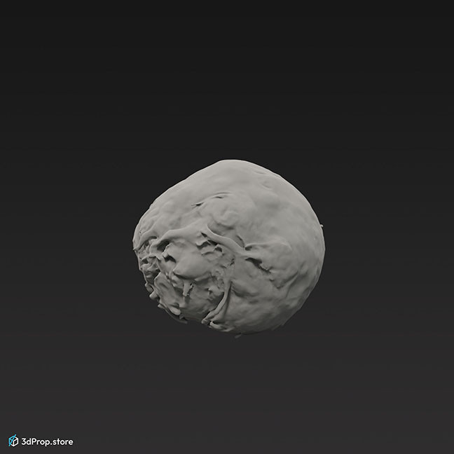3D scan of a celery root.
