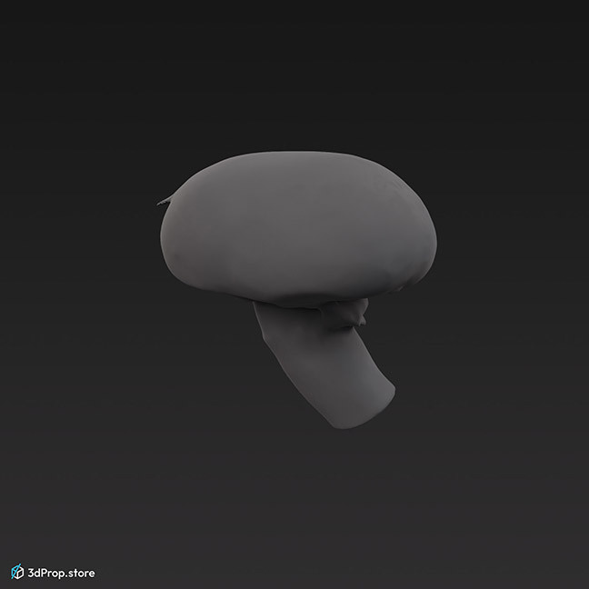 3D scan of a mushroom