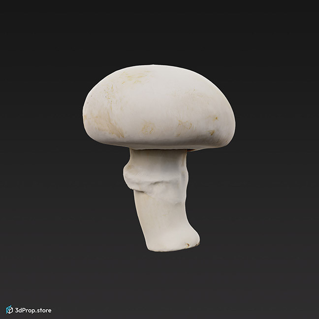 3D scan of a mushroom