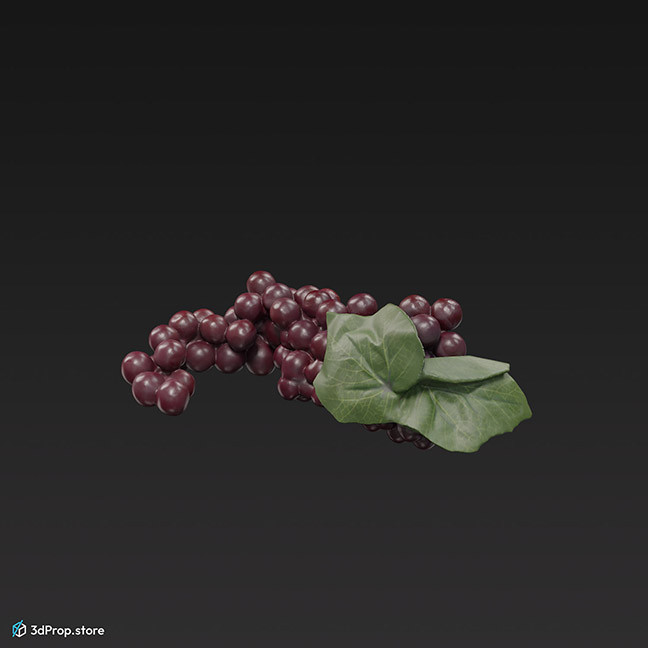 3d scan of a grape