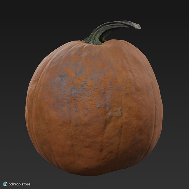 3D model of a pumpkin