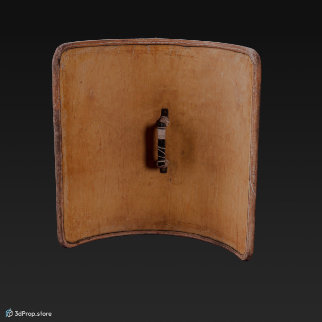 3D scan of a gladiator's shield from the Roman Empire.