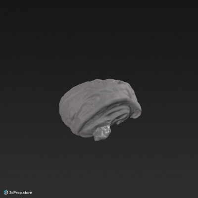3D scan of a sweet roll