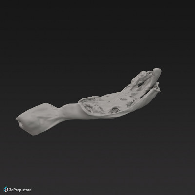 3D scan of a pork cheek